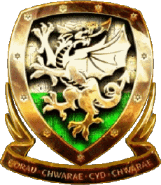 Sports Soccer National Teams - Leagues - Federation Europe Wales 