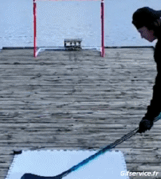 Humor -  Fun Sports Hockey Win Fun 