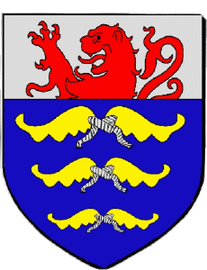 Drapeaux France Départements - Villes 52 JOINVILLE 