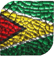 Drapeaux Amériques Guyana Carré 