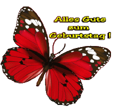 Nachrichten Deutsche Alles Gute zum Geburtstag Schmetterlinge 004 