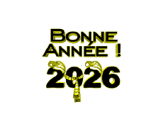 Messages Français Bonne Année 2026 01 