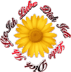 Messages Allemand Ich Liebe Dich 02 