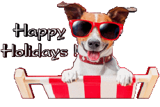 Messagi Inglese Happy Holidays Sfondo trasparente 03 