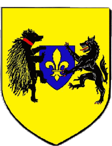 Bandiere Francia Dipartimenti - Città 41 BLOIS 