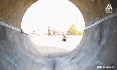 Humor -  Fun Sports Skateboard Free Style Fun - Win 01 