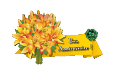 Mensajes Francés Bon Anniversaire Floral Fondo transparente 008 