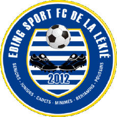 Sports FootBall Club Afrique Cameroun Eding Sport Football Club de la Lékié 