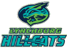 Deportes Béisbol U.S.A - Carolina League Lynchburg Hillcats 