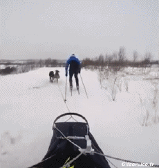 Humor -  Fun Sport Ski Langlaufen 