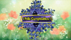 Messagi Spagnolo Feliz Cumpleaños Floral Sfondo animato 004 