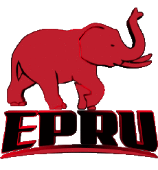 Sports Rugby Club Logo Afrique du Sud Eastern Province Elephants 