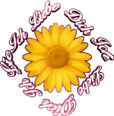 Messages Allemand Ich Liebe Dich 02 