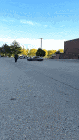 Humor -  Fun Transport Motorräder Route Gamelles Fail 02 