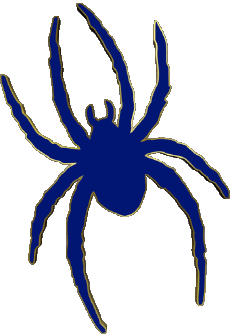 Sports N C A A - D1 (National Collegiate Athletic Association) R Richmond Spiders 