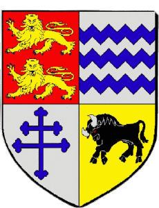 Banderas Francia Departamentos - Ciudades 61 AUBUSSON 