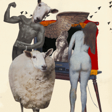 Humor -  Fun GIF Künstler Isabel Chiara 