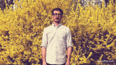 Humor -  Fun 3d Effects Stéreoscopique Wiggle 