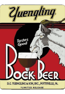 Boissons Bières USA Yuengling 