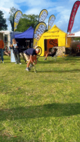 Humor -  Fun PEOPLE Funny Seniors Serie 02 