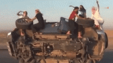 Humor - Fun Transporte Coches Divertidos 02 