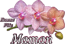 Nachrichten Französisch Bonne Fête Maman 05 