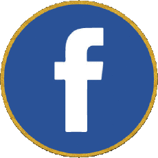 Multimedia Computer - Internet Facebook 