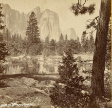 Humor - Fun Efectos 3d Stéreoscopique Wiggle 