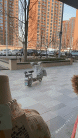 Humor -  Fun Places Wind 