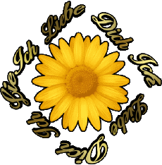 Messages Allemand Ich Liebe Dich 02 