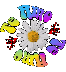 Messagi Spagnolo Te Amo 04 