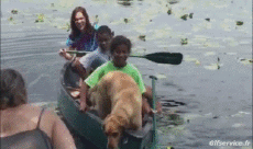 Umorismo -  Fun Sportivo Canoa Kayak Cadute - Fail 