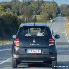 Humour - Fun Animaux Chiens Serie 04 