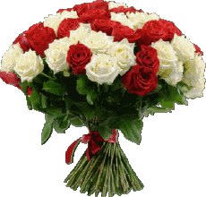 Messagi Spagnolo Feliz día de la madre 015 