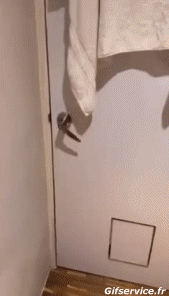 Humor -  Fun Tiere Hirsch - Kitz 01 