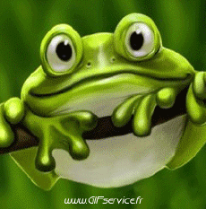 Humor - Fun Animales Ranas 01 