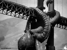 Humor -  Fun Tiere Krake 01 