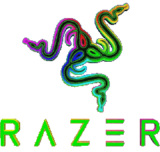 Multimedia Computadora - Hardware Razer 