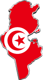 Bandiere Africa Tunisia Carta Geografica 
