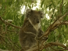 Multi Média Chaines -  TV France Voyage Jingle Pub 