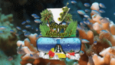 Messages English Happy Holidays Animated Background 006 