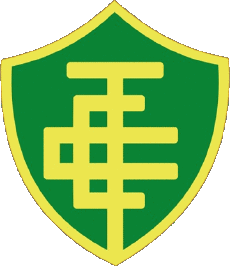 Sportivo Calcio Club America Logo Brasile Espírito Santo Esporte Clube Tupy 