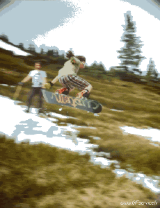 Humor -  Fun 3d Effects Stéreoscopique Wiggle 