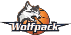 Sport Basketball Dänemark BMS Herlev Wolfpack, 