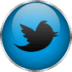 Multi Media Computer - Internet Twitter 