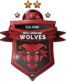 Sports Soccer Club Oceania Australia NPL Nsw Wollongong Wolves FC 