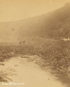 Humor - Fun Efectos 3d Stéreoscopique Wiggle 