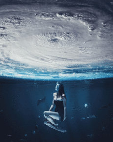 Humor -  Fun GIF Artists THE GLITCH 