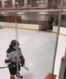 Umorismo -  Fun Sportivo Hockey Fail 