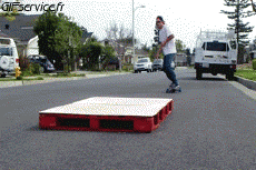 Humor -  Fun Sport Skateboard Free Style Fun - Win 02 